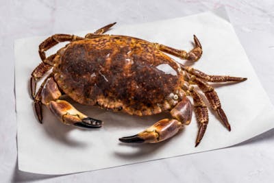 Tourteau ou crabe (cuit) product image