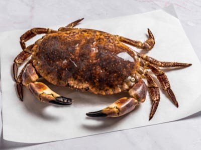 Tourteau ou crabe cuit product image