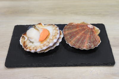 Coquille Saint-Jacques product image