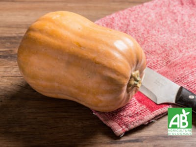 Courge butternut Bio product image