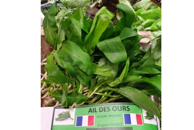 Ail des ours product image