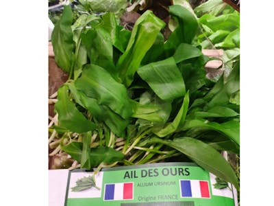 Ail des ours product image
