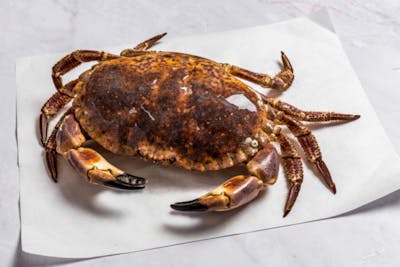 Tourteau ou crabe (cuit) product image