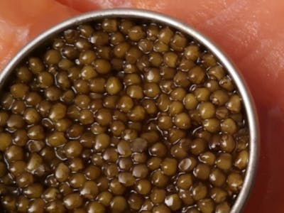 Caviar Gold product image