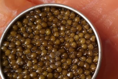 Caviar Gold product image