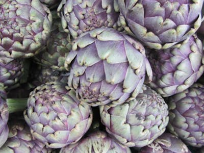 Artichaut violet product image