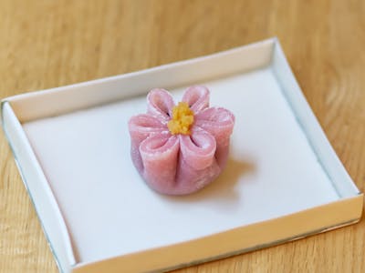 Kiku ( Chrysanthème ) product image