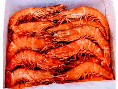 Crevettes d'Arabie Saoudite 40-60 product image