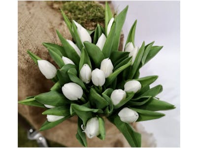 Botte de tulipes (grand) product image