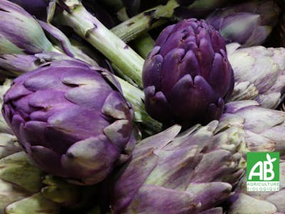 Artichaut violet Bio product image