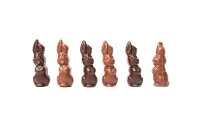Cylindre de petits lapins au chocolat noir et chocolat au lait product image