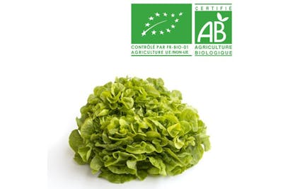 Feuille de chêne verte Bio product image