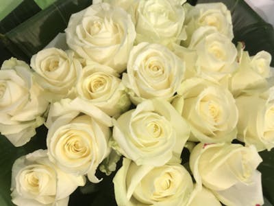 Bouquet de roses blanches (grand) product image