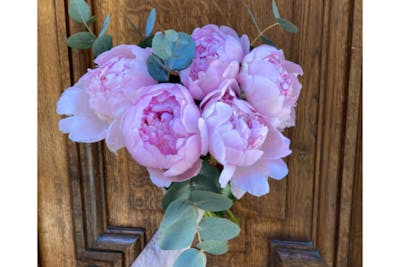 Bouquet de 5 pivoines roses product image