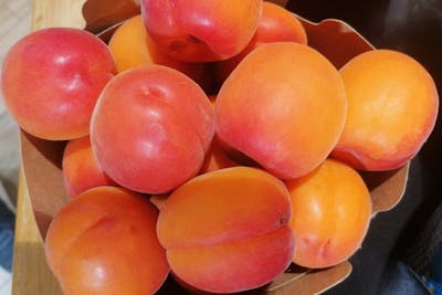 Abricots Extra product image