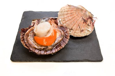 Coquille Saint-Jacques product image