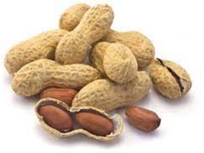 Cacahuètes grillées (coque) product image