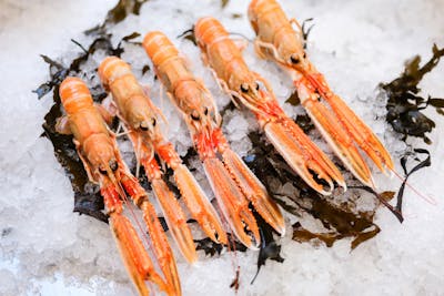 5 grosses Langoustines product image