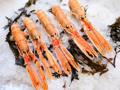 5 grosses Langoustines product image