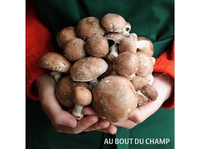 Champignon de Paris product image