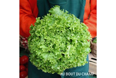 Salade product image