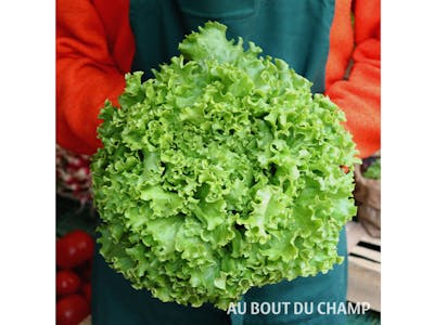 Salade product image