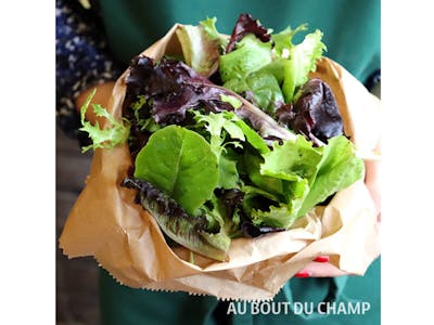 Salade mesclun (jeunes pousses) product image