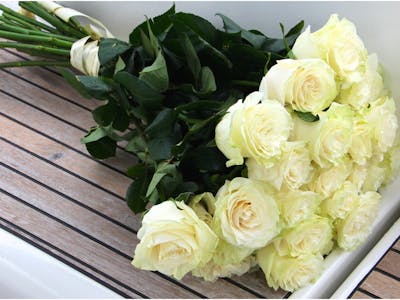 Bouquet de roses blanches (gros boutons) product image