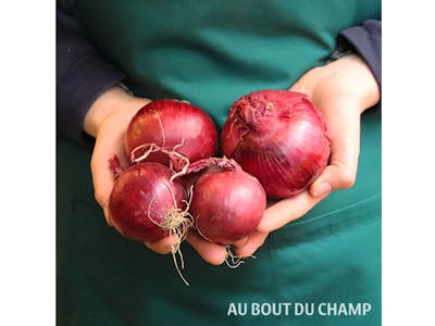Oignon rouge Bio product image