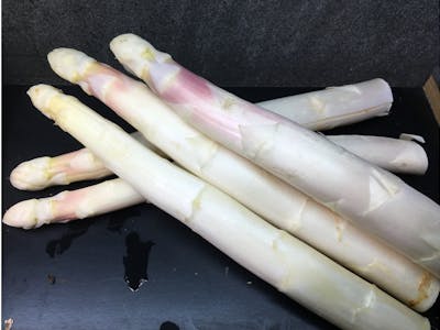 Asperges blanche extra product image