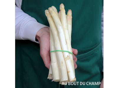 Asperge blanche product image