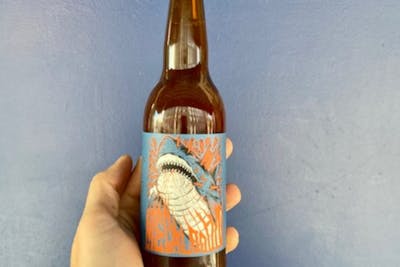 Bière Pale Ale Megalodon product image