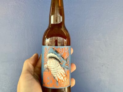 Bière Pale Ale Megalodon product image
