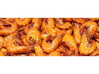 Crevettes de Madagascar cuites Bio product image