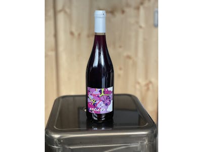 Vin rouge Bourgueil - Antidote - Domaine Bertrand Galbrun - Biodynamie product image
