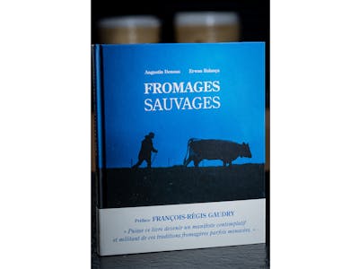 Livre Fromages Sauvages product image