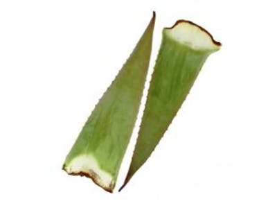 Aloe Vera Bio product image