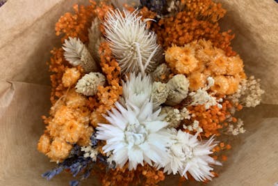 Fleurs séchées Desert product image