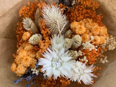 Fleurs séchées Desert product image
