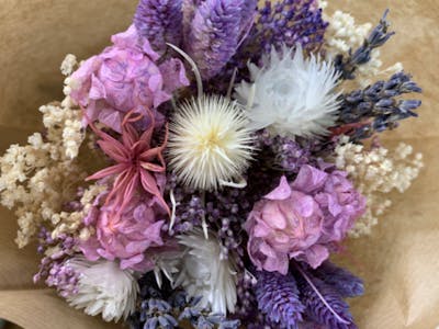 Fleurs séchées Lilas product image