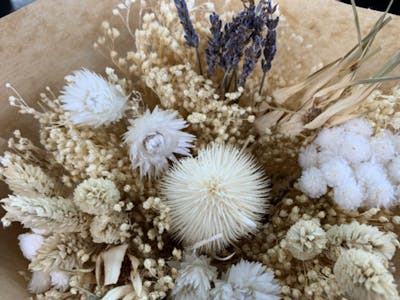 Fleurs séchées Polaire product image