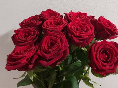 Bouquet de roses rouges product image