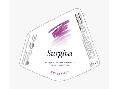 Eau minérale gazeuse Surgiva product image
