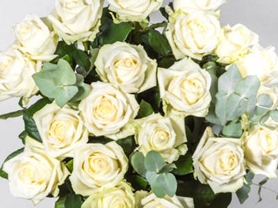 Bouquet avalanche prestige (grand) product image