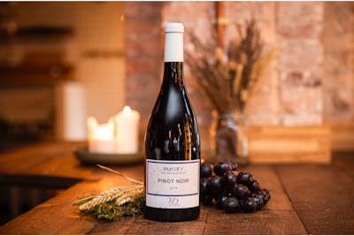 Bugey - Pinot Noir - Yves Duport - 2021 - Bio product image