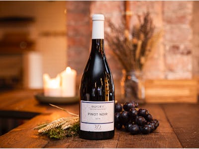 Bugey - Pinot Noir - Yves Duport - 2021 - Bio product image