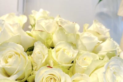 Roses blanches à la botte product image