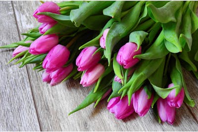 Botte de tulipes (petit) product image