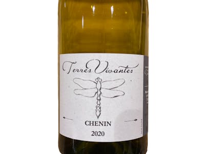 Chenin -  2020 - Beaujolais Blanc - Terres Vivantes product image