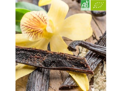 Glace à la Vanille de Madagascar Raimo Bio product image